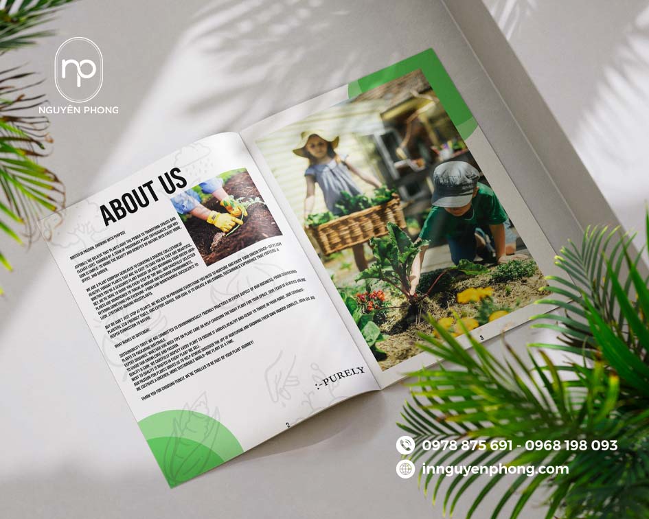 Thiết kế catalogue đẹp, ấn tượng tại Nguyên Phong 